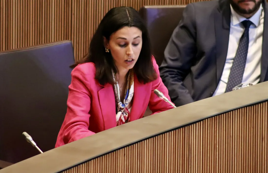 La consellera general socialdemòcrata Laia Moliné en una sessió parlamentària.