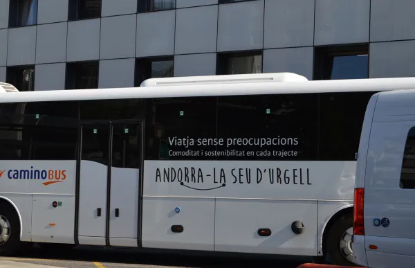 bus