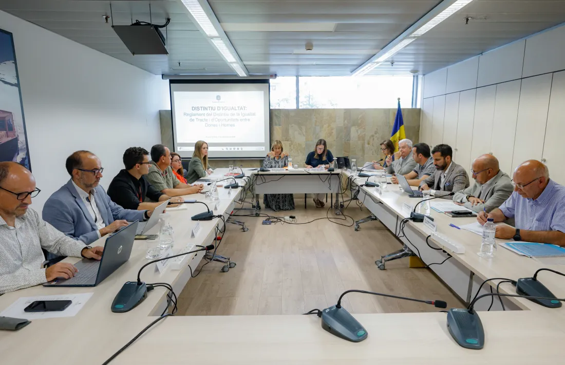 La reunió del Consell Econòmic i Social d’aquesta tarda, la primera del nou curs.
