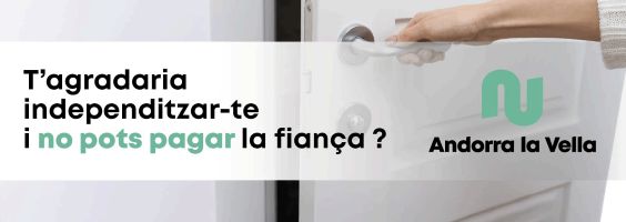 comu ALV ajuts habitatge