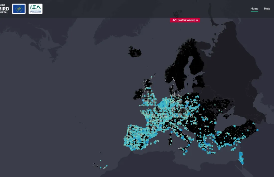 El nou visor EuroBirdPortal.