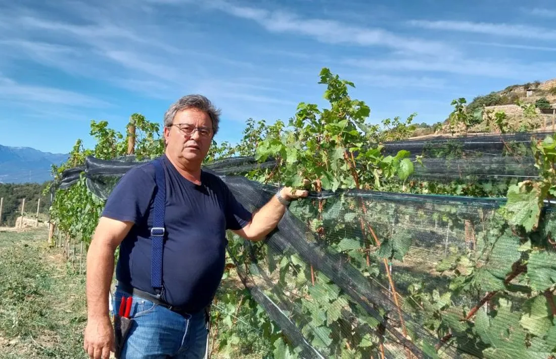 Joan Pagès, viticultor. 