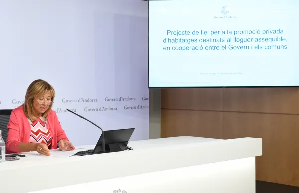 p. 04 conxita marsol incentius habitatge assequible privats sfga jav