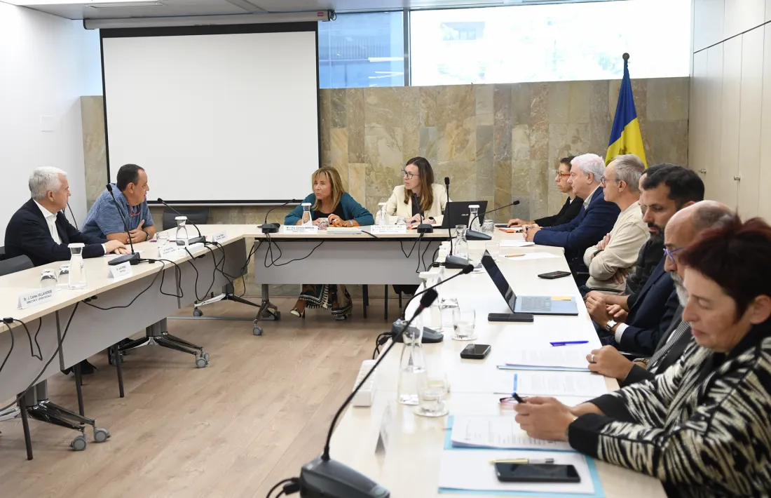 Un moment de la reunió del Consell Econòmic i Social d’aquest migdia.