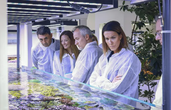 visita monaco