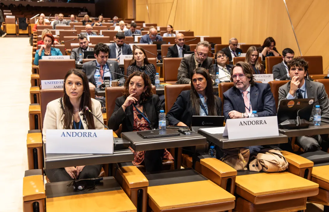 La delegació andorrana durant la intervenció de Meritxell López, aquest al matí.