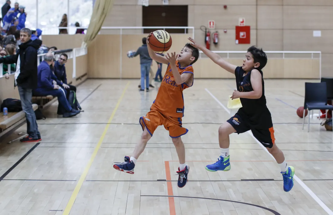 TIM Andorra, en creixement constant