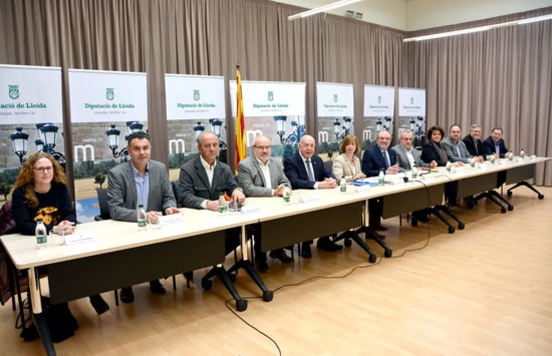 Diverses comarques es beneficiaran de les instal·lacions de biomassa