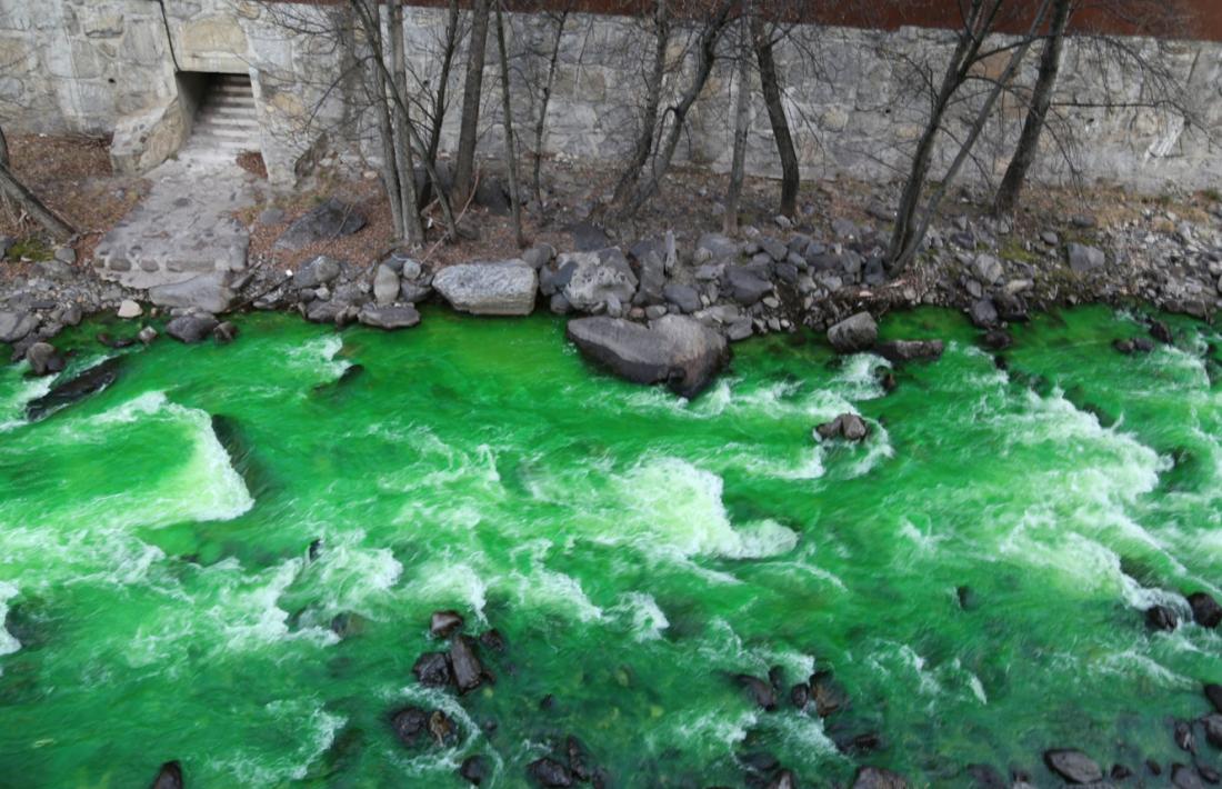 La investigació per esclarir l'origen de la contaminació de la font d'Arinsal tenyeix el riu de verd