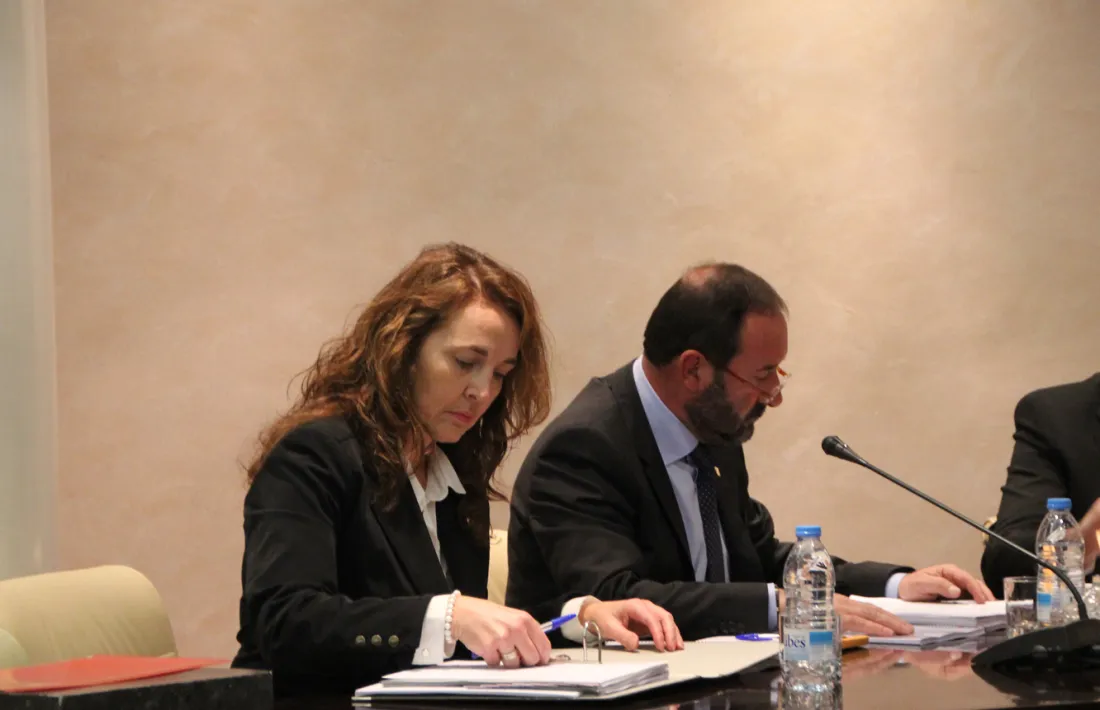 El Tribunal Constitucional admet el recurs d'empara de Lafoz i Troguet sobre els drets dels consellers de l'oposició