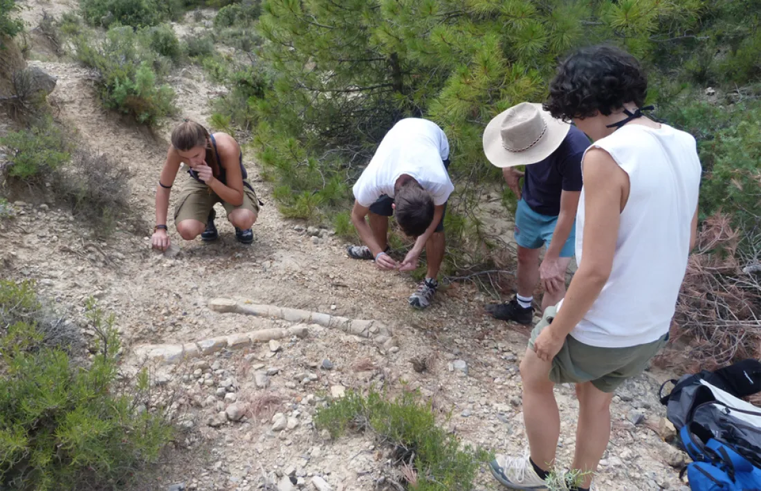 La UAB tindrà dos nous campus d’arqueologia i paleontologia