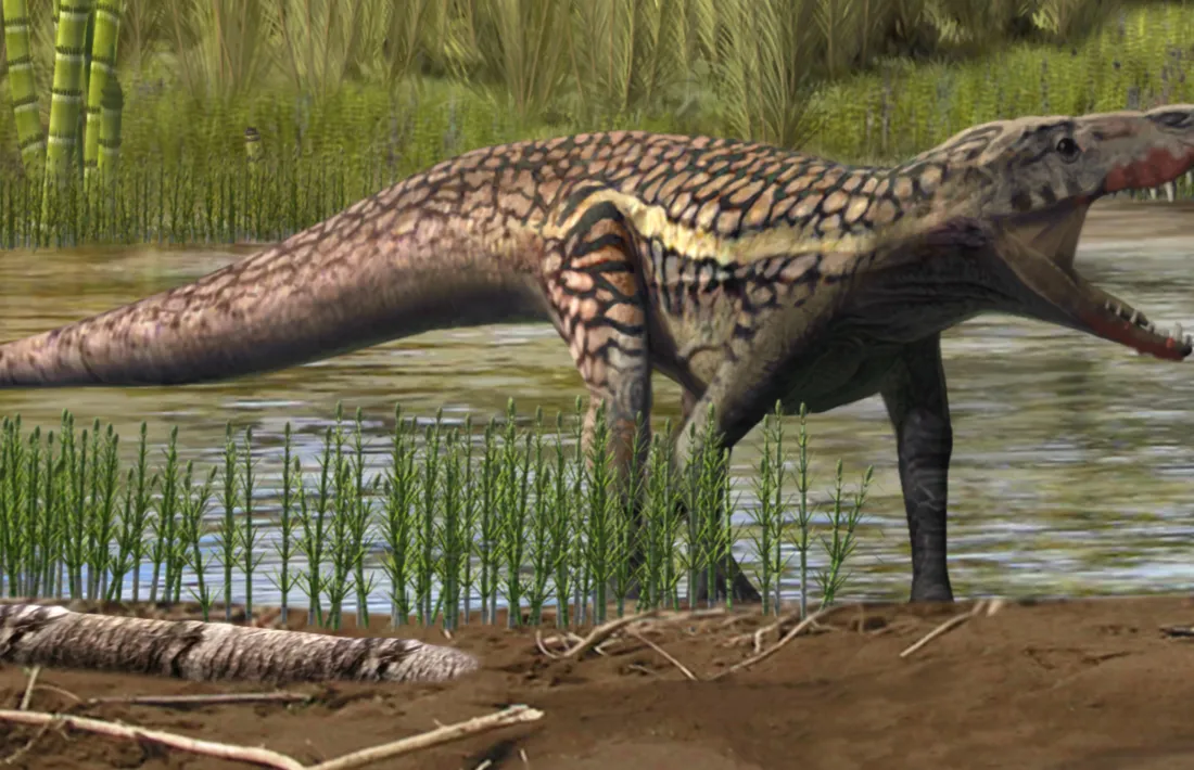 Descobreixen petjades d’un rèptil que va viure fa 247 milions d’anys