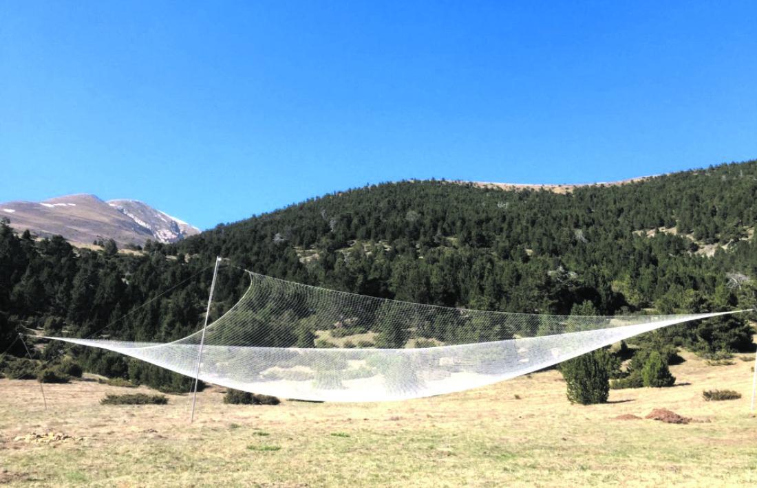 Andorra, land art, Moles, Gusí, Mereig, Rossell, xarxa antimeteorit