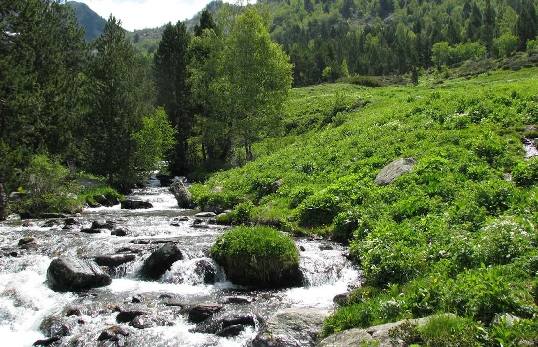 El Cenma organitza quatre activitats en quatre punts diferents en el Dia mundial de la biodiversitat