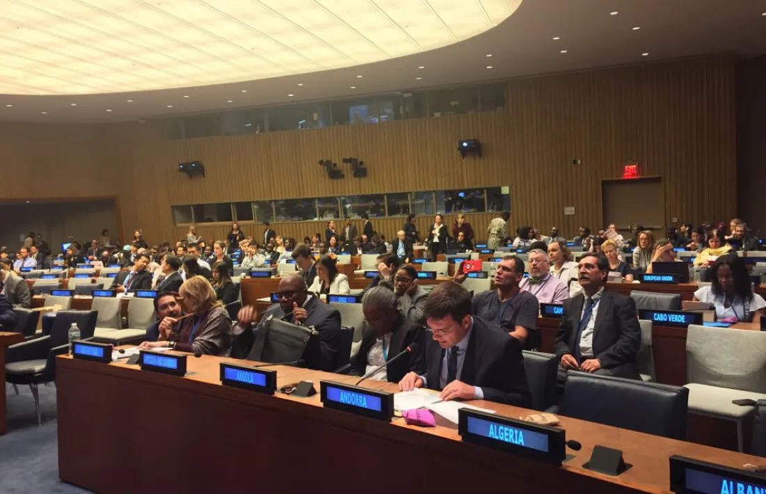 Andorra participa en la conferència sobre els drets dels discapacitats