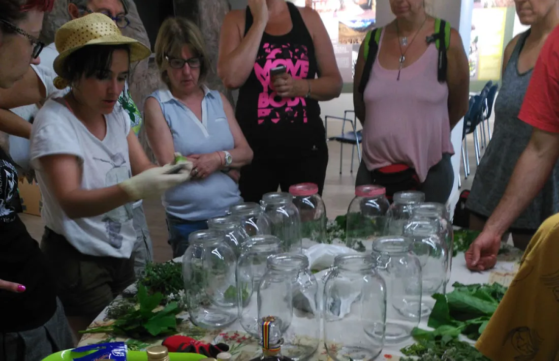 Taller d’apicultura ecològica al CIC