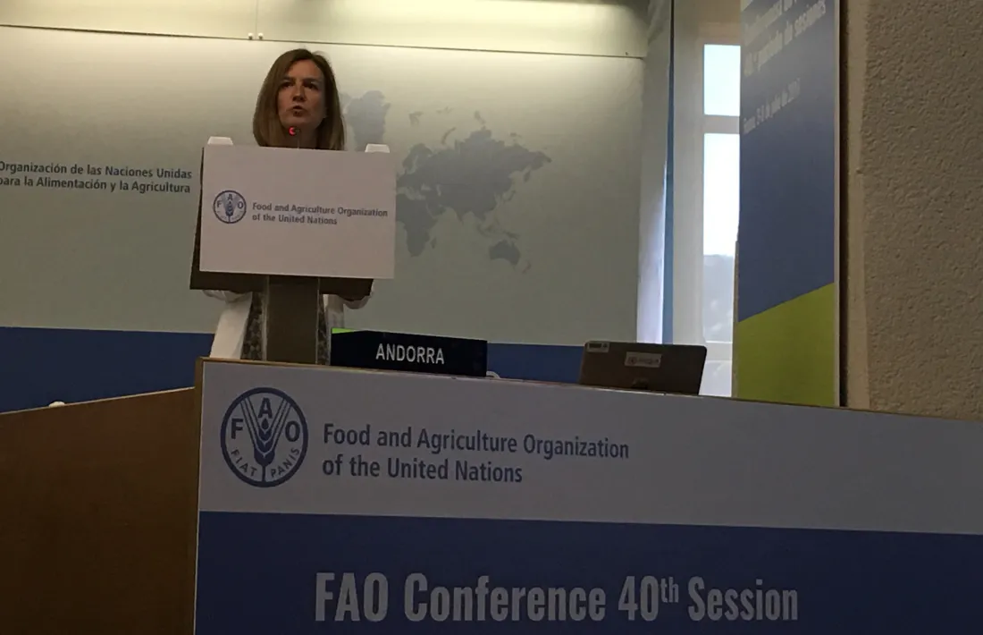 Calvó pren part en la 40a sessió de la Conferència de la FAO