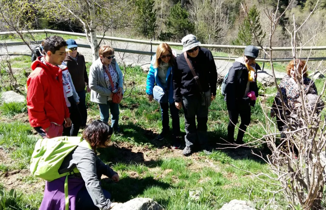  El CENMA organitza una sortida a Sorteny per conèixer les papallones diürnes El CENMA organitza una sortida a Sorteny per conèixer les papallones diürnes
