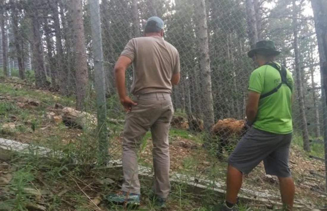 Calvó demana temps per acabar la investigació sobre la mort de l’os