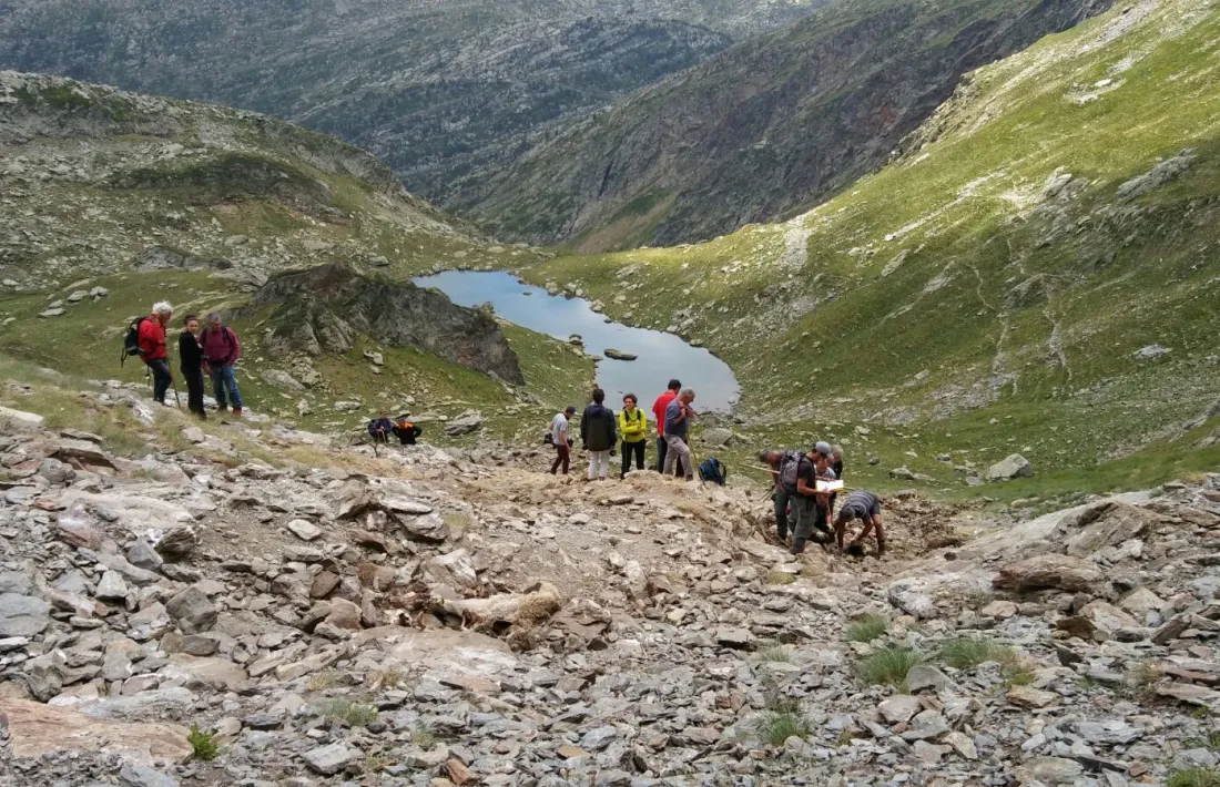 Les ovelles mortes es van estimbar espantades per un os