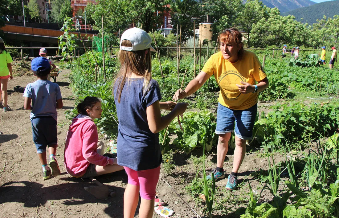 Els infants del casal d'estiu d'Ordino fan d'hortolans al camí de Segudet