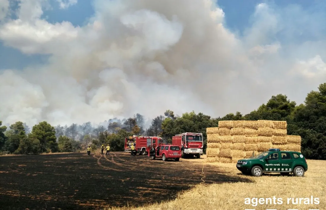 Cremen 15 hectàrees de vegetació a Montargull, a Artesa de Segre