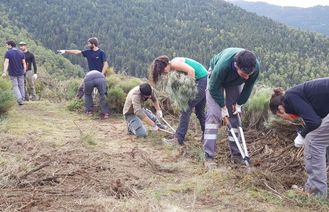 Uns cent voluntaris milloren les pastures de Llosaus i Ginestarre