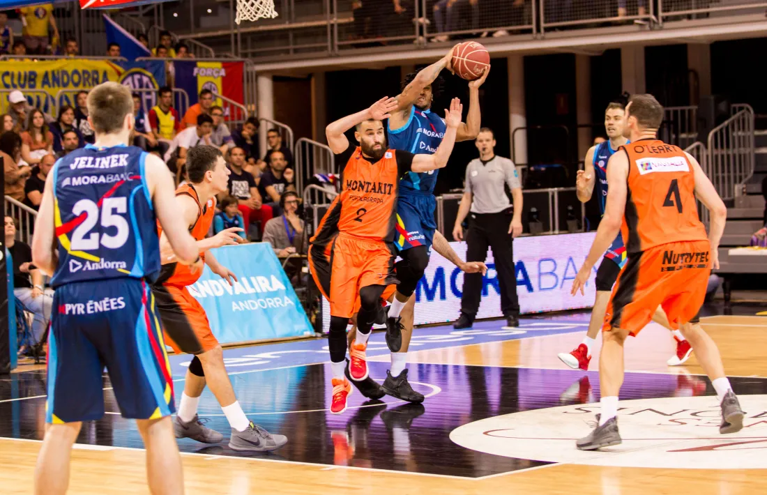 Torna el bàsquet