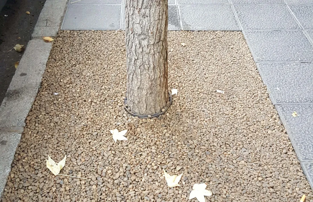Finalitzada la primera fase del cobriment d’escocells d’arbres