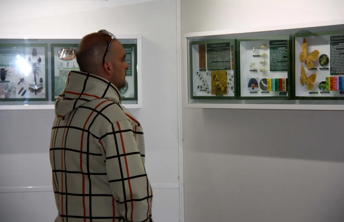 L’Ajuntament de Sort vol tancar el Museu de les Papallones