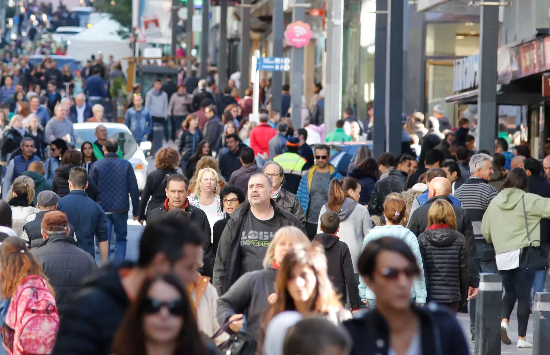 El sector preveu un fort augment de l’ocupació i el preu per la Puríssima