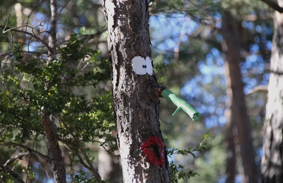 Un tió de llegenda fa acte de presència al bosc de l'Esquella d'Ordino