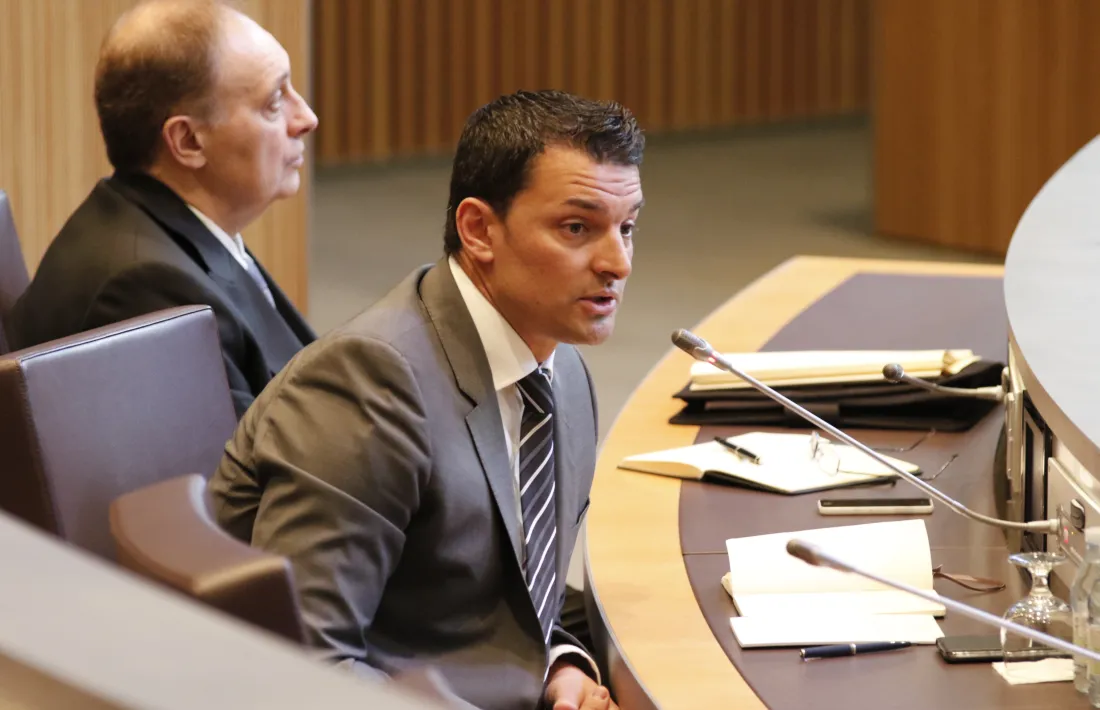 Gallardo presidirà el ‘nou’ grup liberal i Pallarés en serà la presidenta suplent