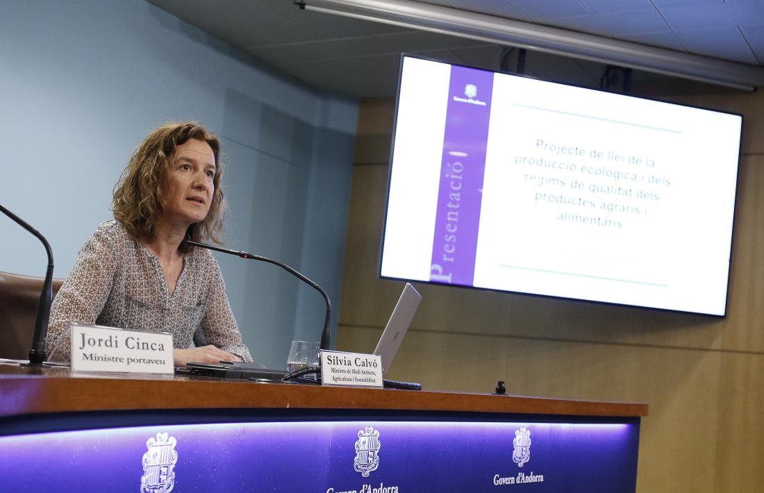 La ministra Sílvia Calvó va presentar ahir el text.
