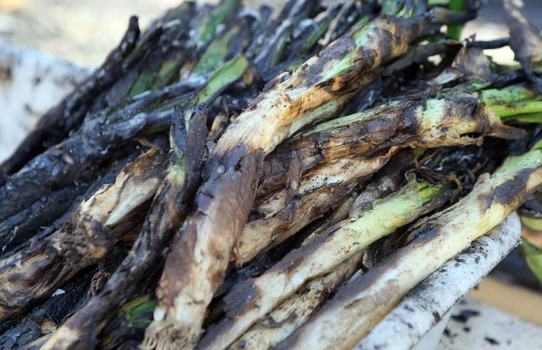 Els padrins podran gaudir d'una calçotada.