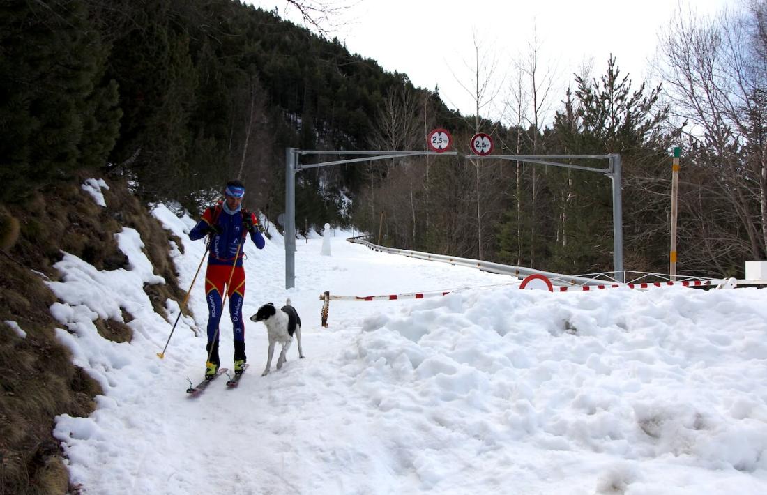 L'esquiador David Albós entrena per un dels circuits d'esquí de muntanya del coll d'Ordino.