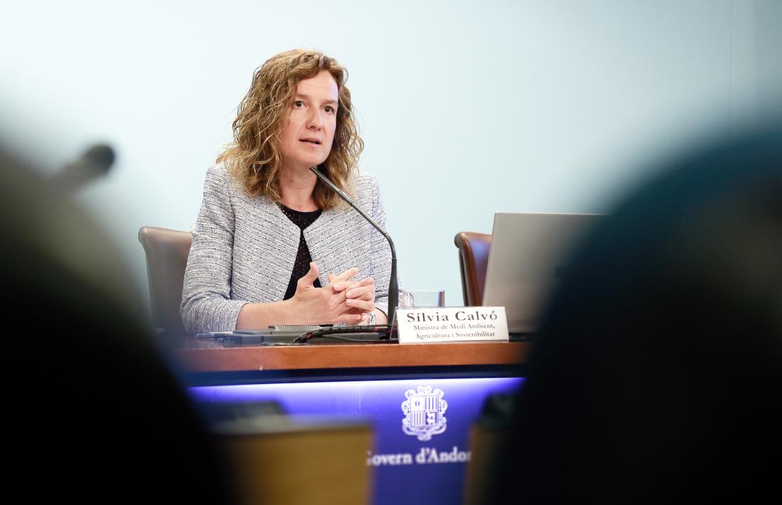 La ministra Sílvia Calvó va donar a conèixer ahir els detalls del projecte de llei.