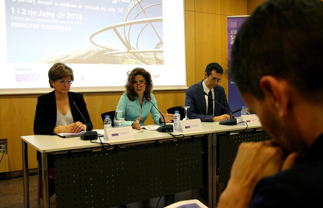 Un moment de la presentació del 13è Congrés de la SCAP.