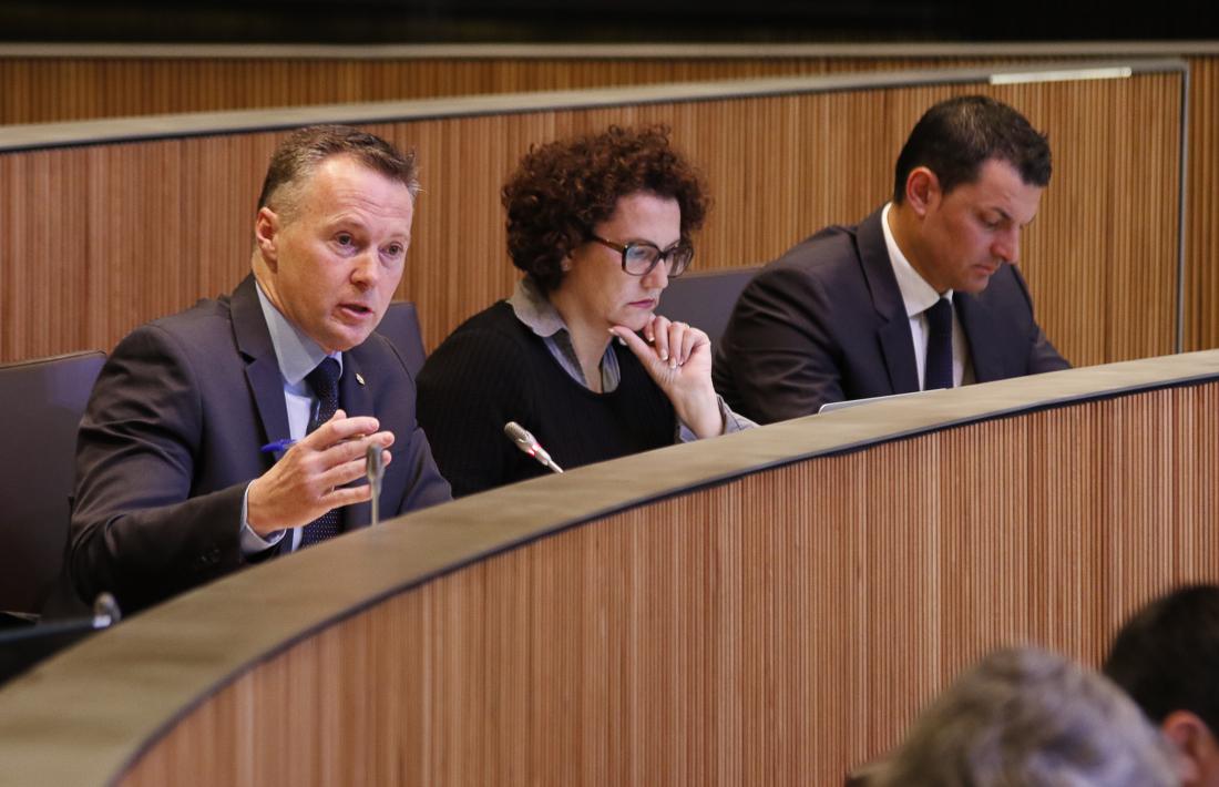 El parlamentari del grup liberal Ferran Costa en una intervenció al Consell General.