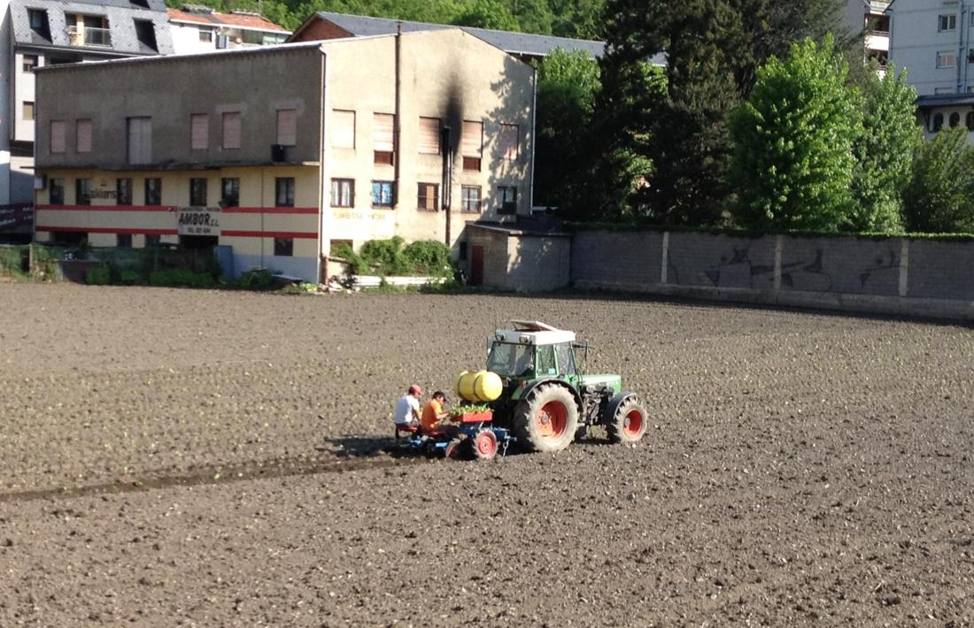 ANA/ Un colliter fent tasques de plantació de tabac, en una imatge d'arxiu.