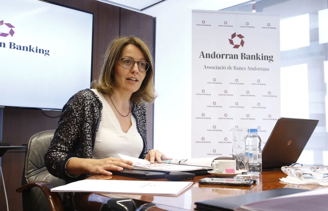 Puigcercós va comparèixer ahir per presentar l’Informe anual 2017.