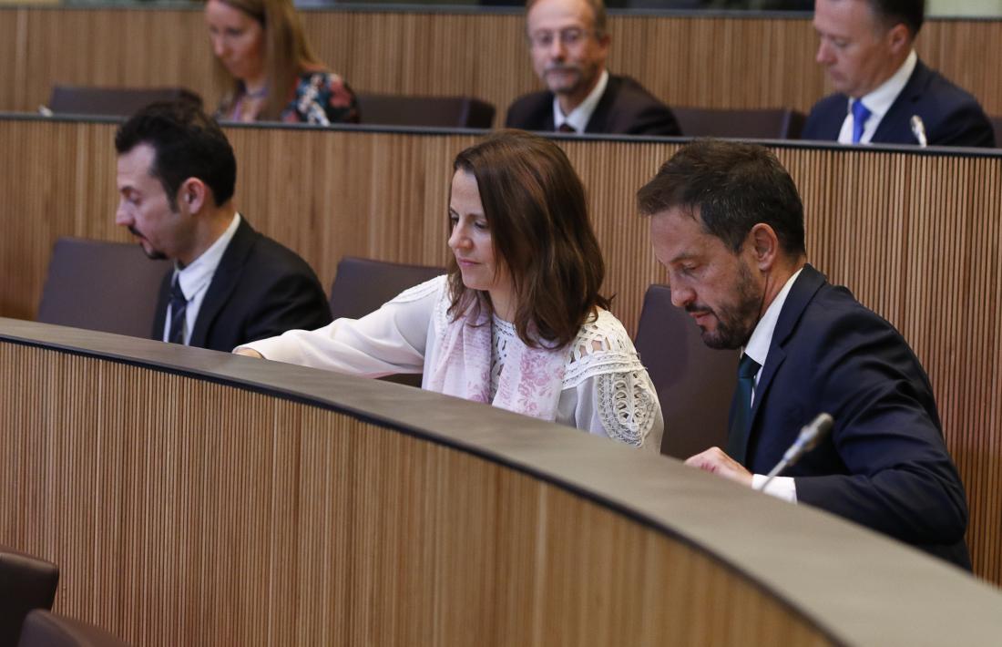 Els parlamentaris del Partit Socialdemòcrata en una sessió del Consell General.
