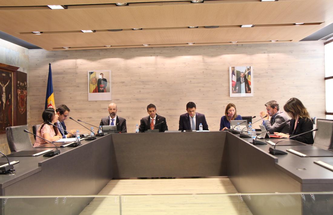 Un moment del consell de Comú celebrat ahir.