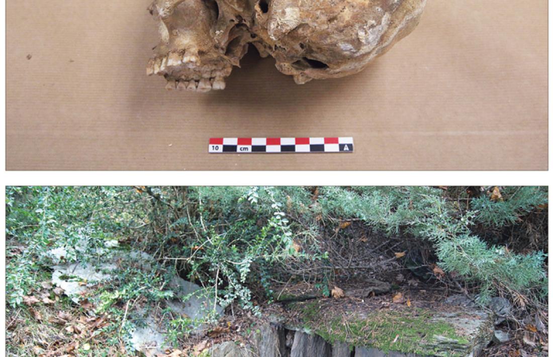 Crani de la noia d’entre 15 i 17 anys exhumada a la Feixa del Moro: va viure cap al 3700 abans de la nostra era i va ser enterrada a la cista d’aquí dalt. L’anàlisi de l’ADN ha demostrat que el nadó que va ser inhumat al seu costat era fill seu.