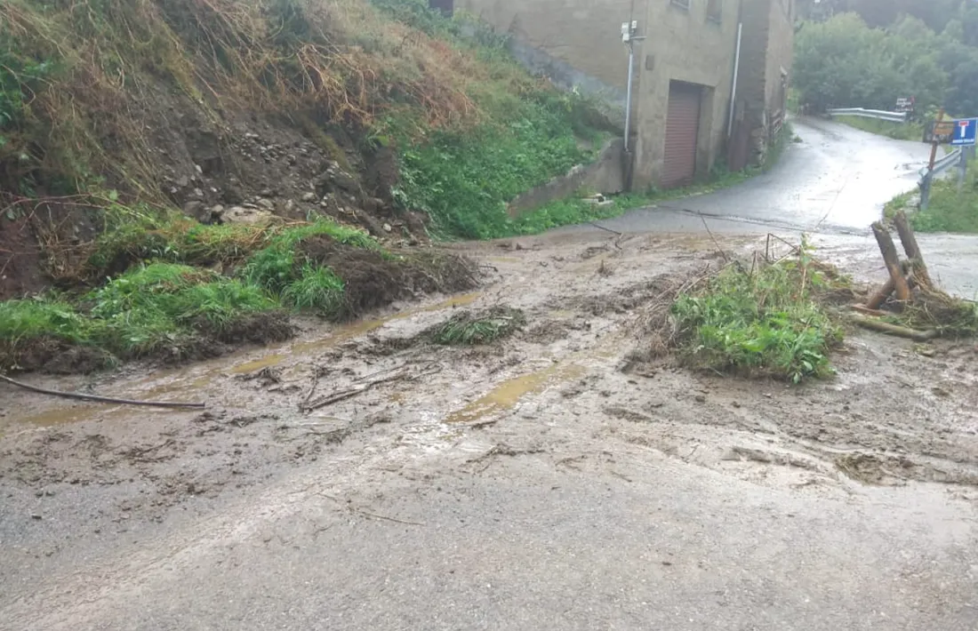 L'esllevissada d'aquest dijous al poble de Prats, a Canillo.