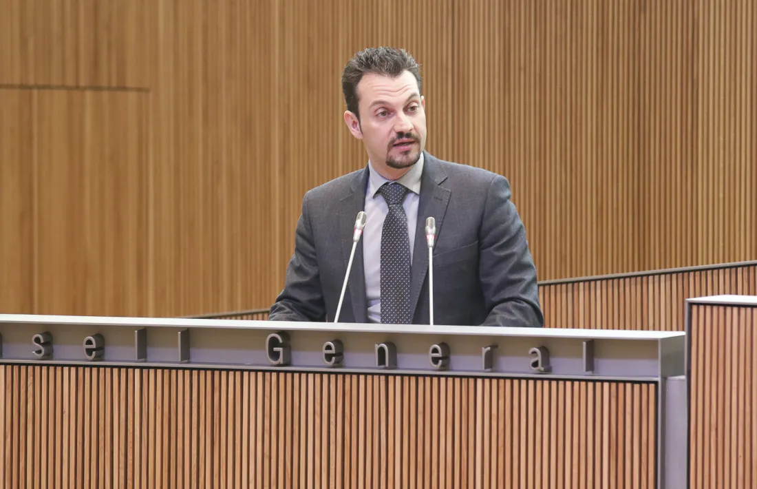 El conseller general del PS Gerard Alís en una intervenció davant la cambra.