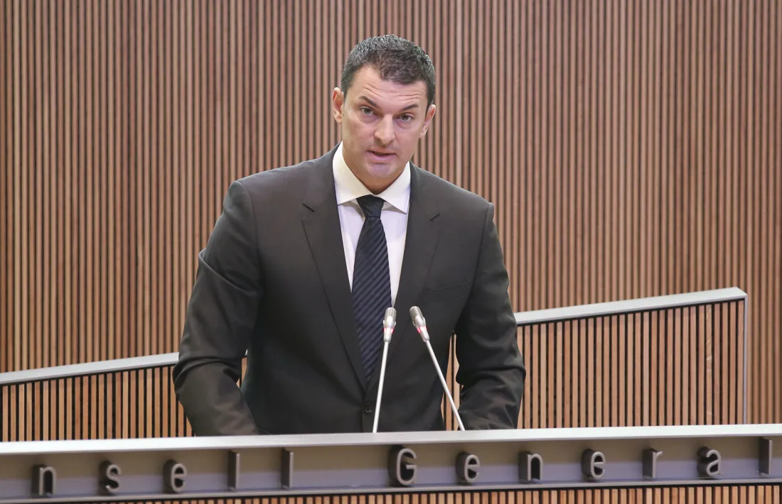 El president del grup liberal, Jordi Gallardo.