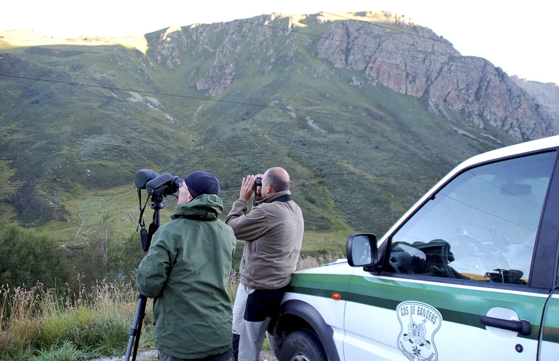 En cas que hi hagi captures restants se sortejaran entre els 93 caçadors que han col·laborat en els censos.