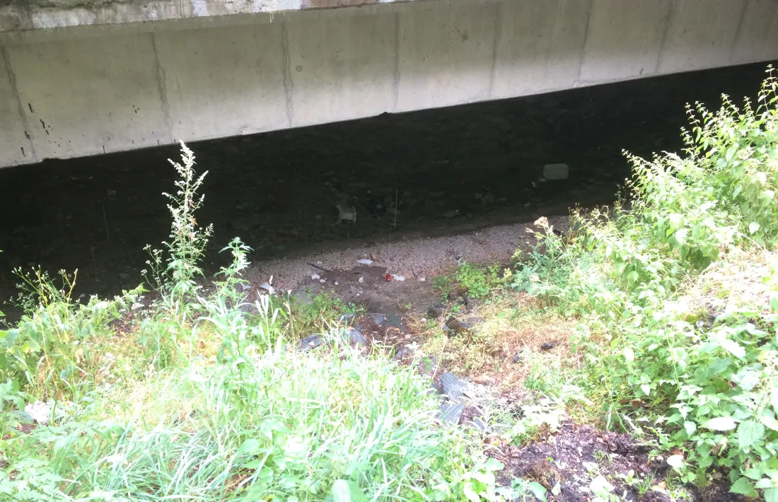 Una fotodenúncia que alerta de la presència de runa i deixalles a sota del pont del Torrent Pregó, a Encamp.
