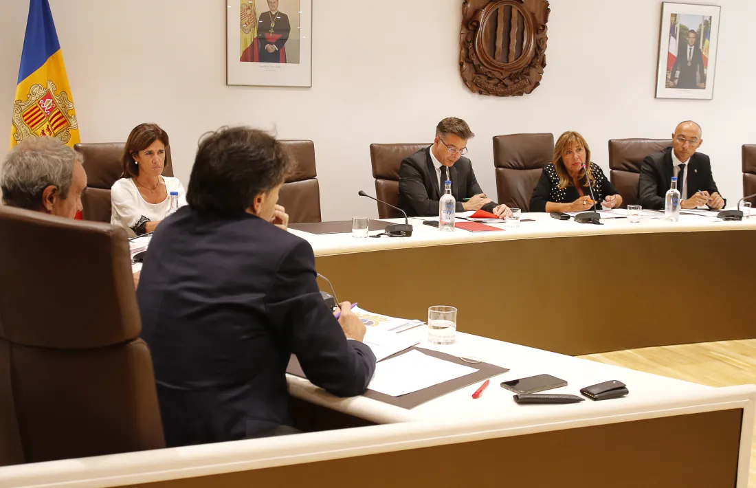 Marsol en una de les intervencions durant el consell de comú celebrat ahir.